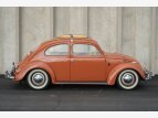 Thumbnail Photo 5 for 1958 Volkswagen Beetle